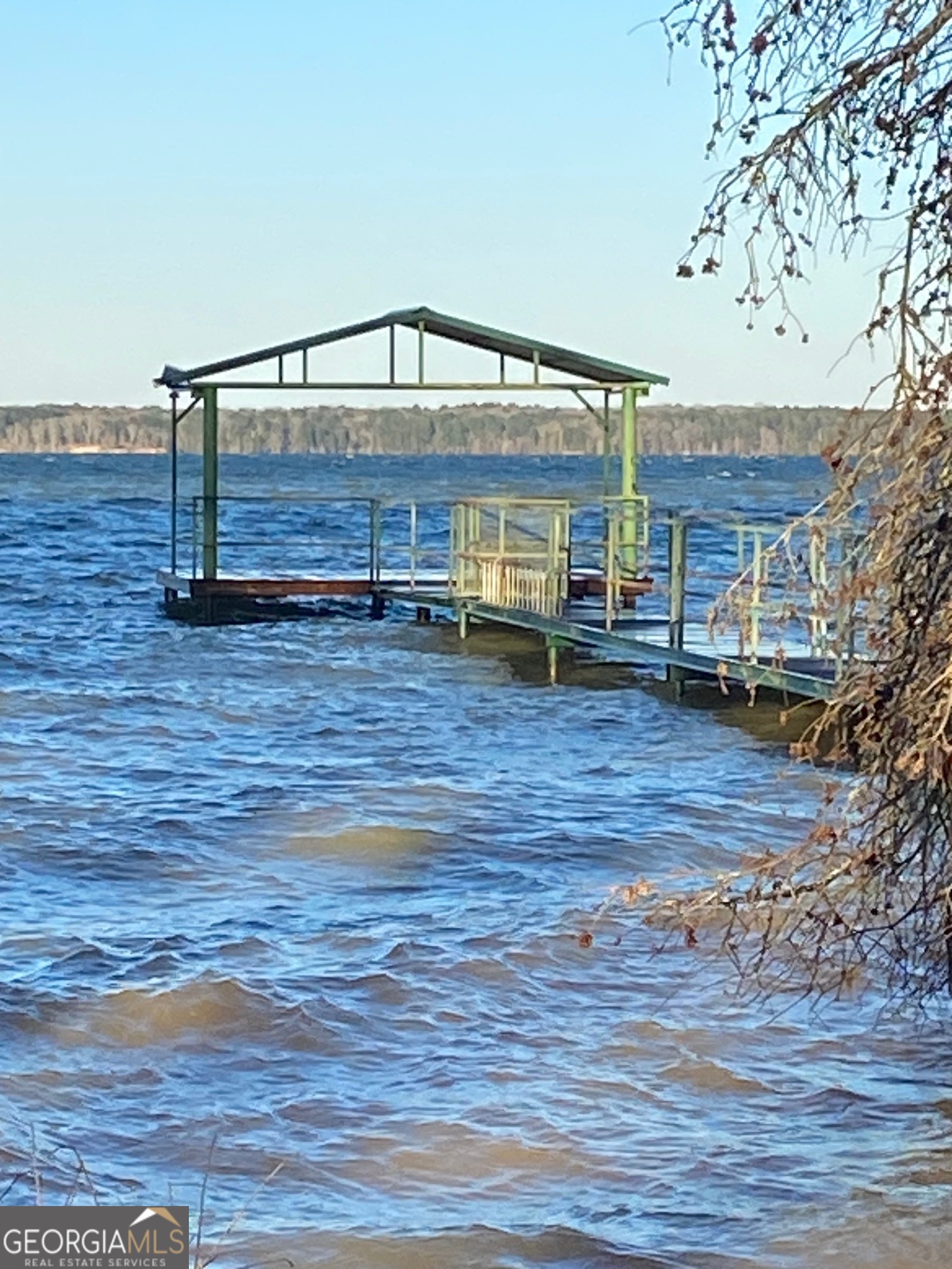 1008 Lakeshore Drive Abbeville, AL 36310 - Photo 30 of 31