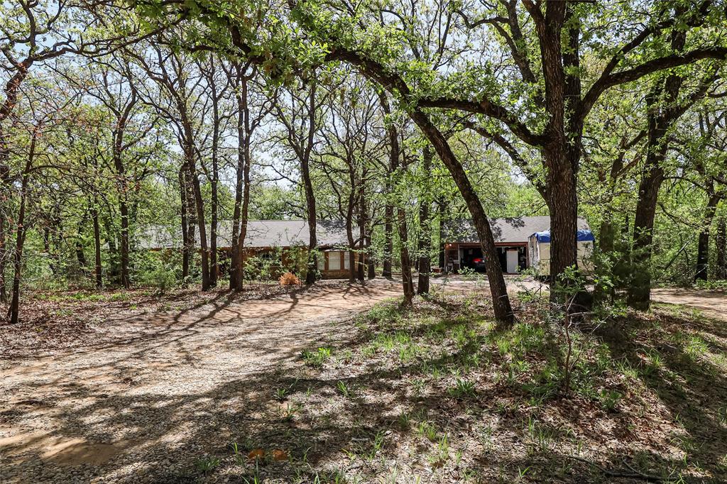 a view of trees and bushes