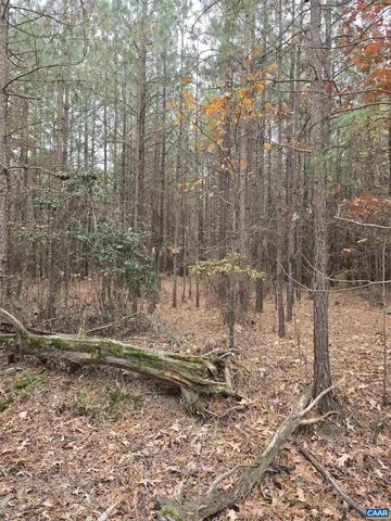 a view of dirt road with trees
