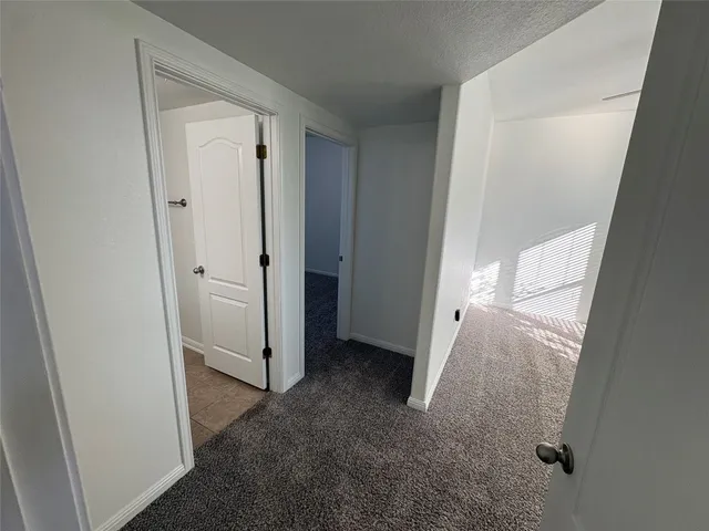 an entryway door with a hallway in the house