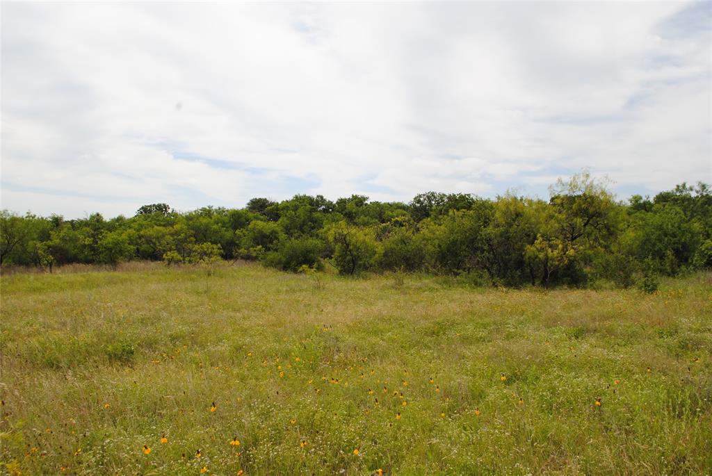 127 Rising Star Tx 76857 May, TX 76857 - Photo 15 of 17