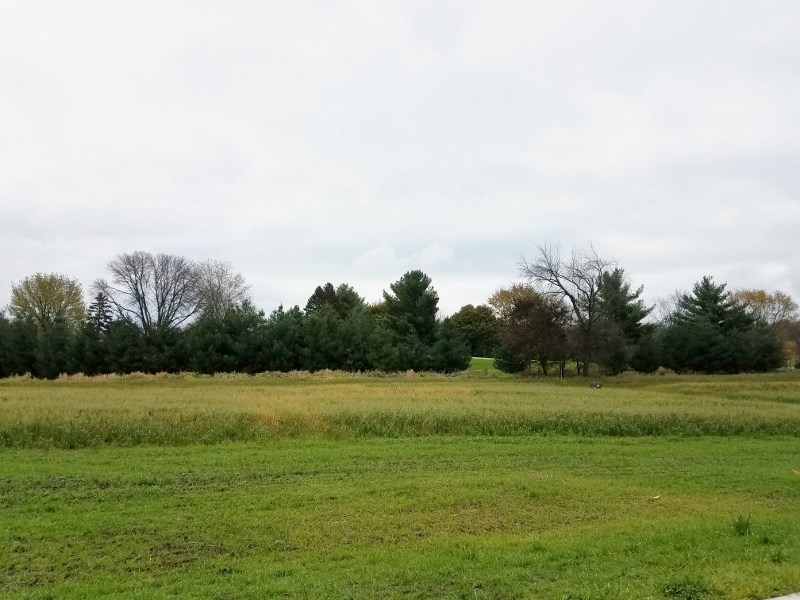 L136 Blue Victoria Sun Prairie Sun Prairie, WI 53590 - Photo 10 of 21