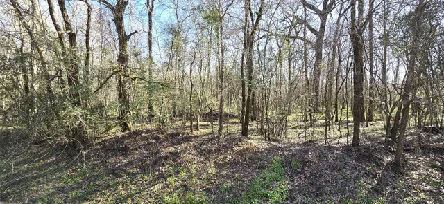 a view of covered with green space