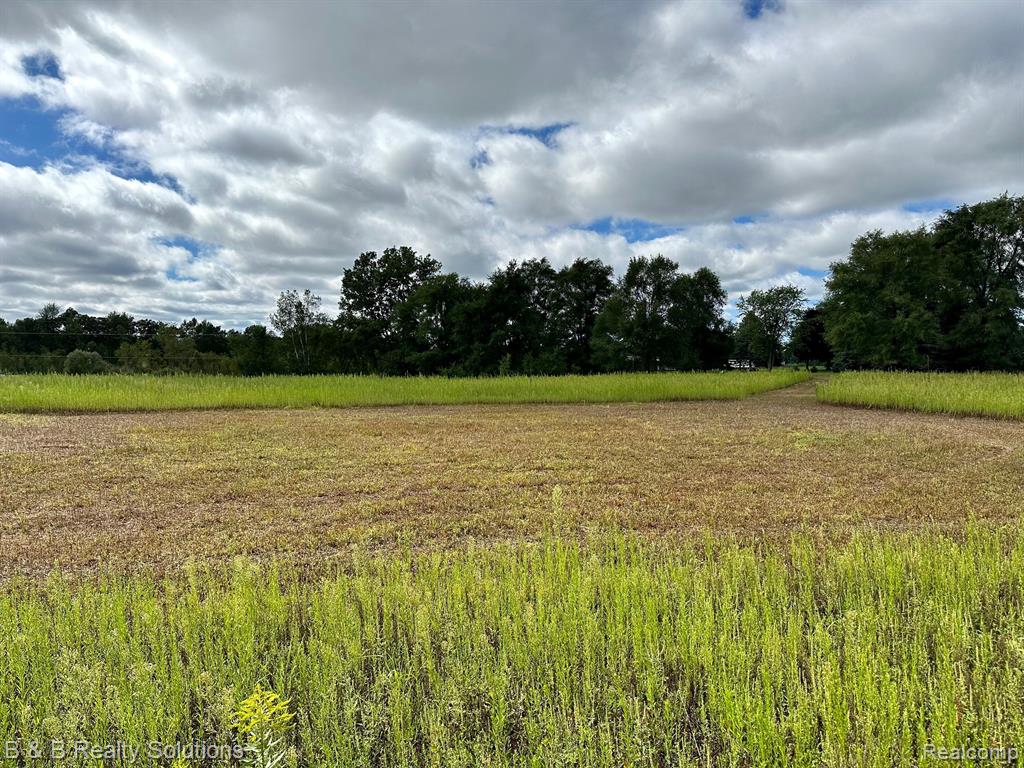 0 Fish Lake Road North Branch, MI 48461 - Photo 12 of 20