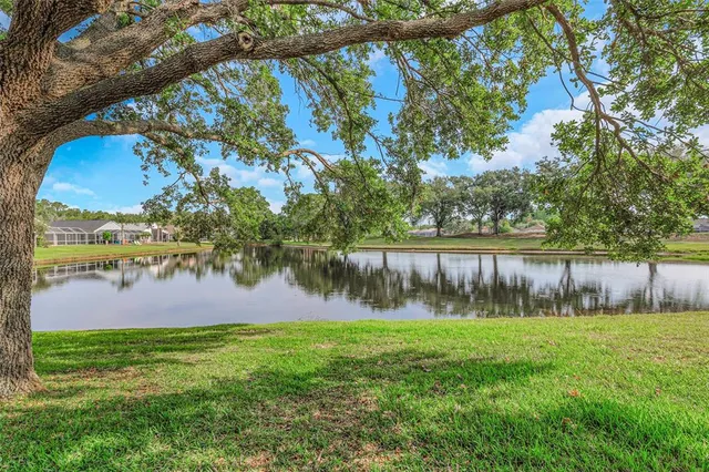 $620,000 | 18836 Maisons Drive, Lutz, FL 33558