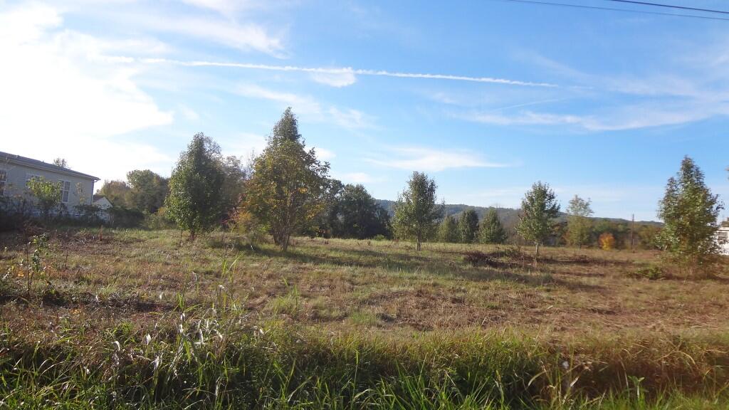 12.27-ac Wisecarver Road, Unit 34 Mosheim, TN 37818 - Photo 1 of 11 DSC01487
