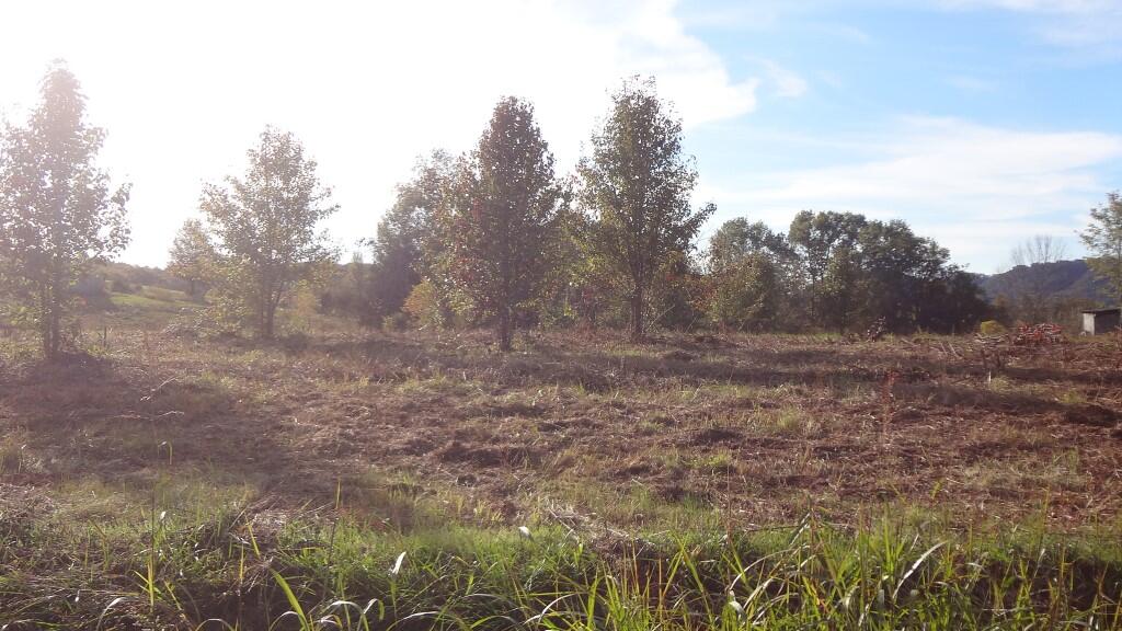 12.27-ac Wisecarver Road, Unit 34 Mosheim, TN 37818 - Photo 11 of 11 DSC01497