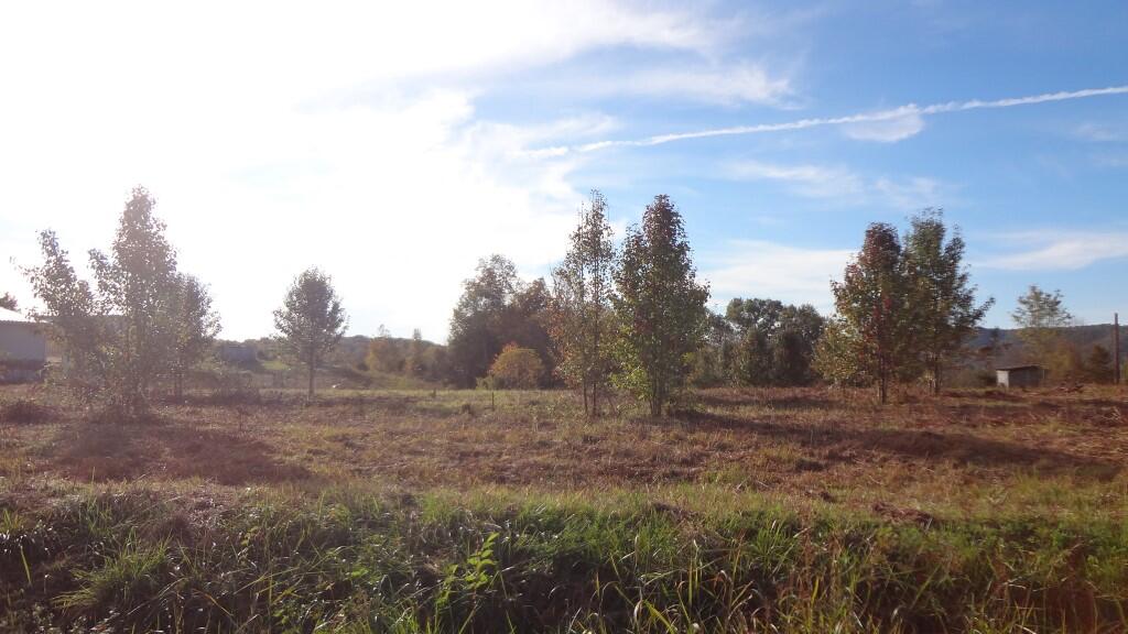 12.27-ac Wisecarver Road, Unit 34 Mosheim, TN 37818 - Photo 5 of 11 DSC01491
