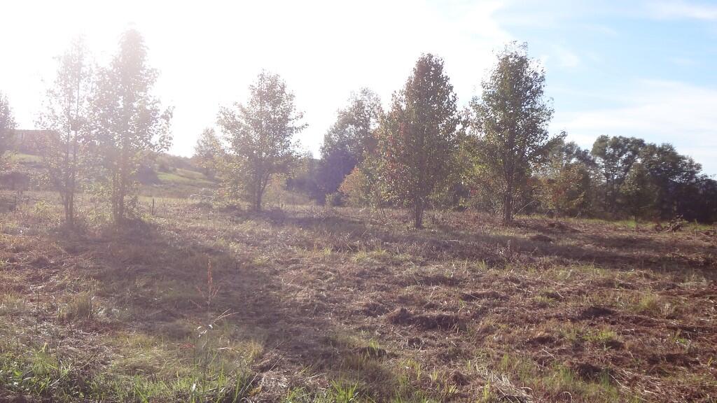 12.27-ac Wisecarver Road, Unit 34 Mosheim, TN 37818 - Photo 6 of 11 DSC01492
