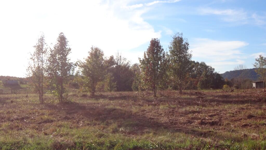 12.27-ac Wisecarver Road, Unit 34 Mosheim, TN 37818 - Photo 9 of 11 DSC01495