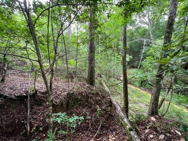 31184 Joe Hughes Road Andalusia, AL 36421 - Photo 42 of 50 Gallery Image 42