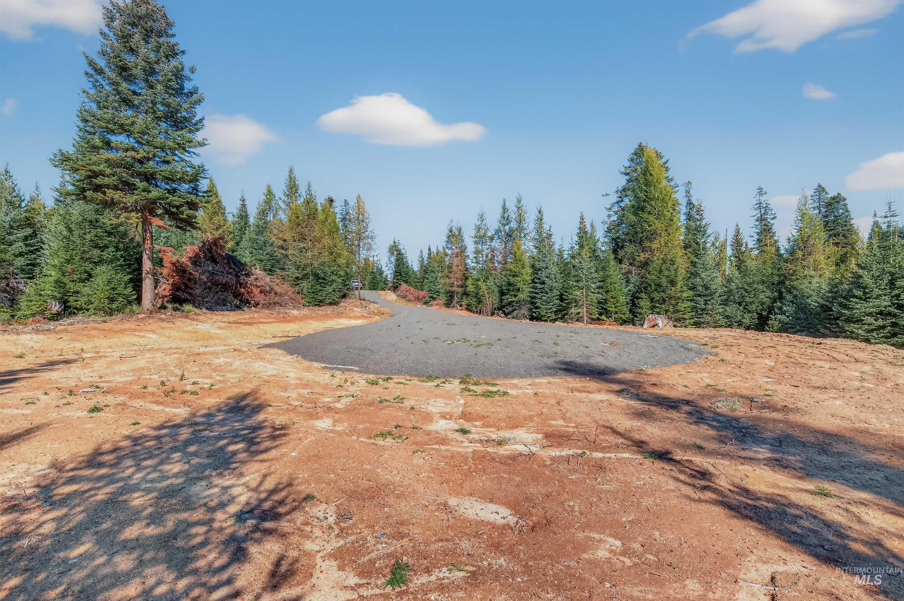 3 Tree Farm Trails Road Elk City, ID 83525 - Photo 15 of 17 View of yard