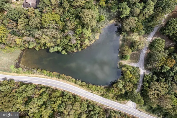 a view of a garden with a lake