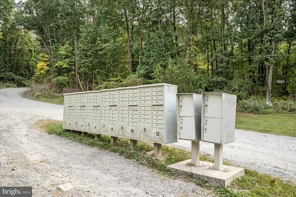a view of a yard with trees