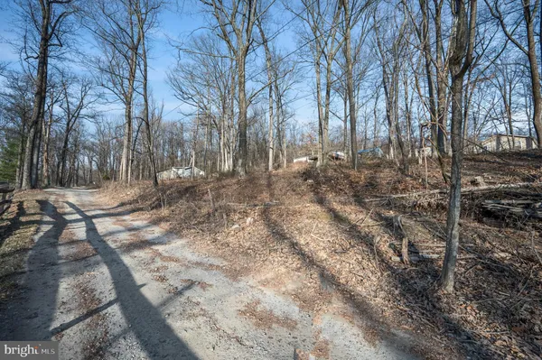 a view of yard with trees