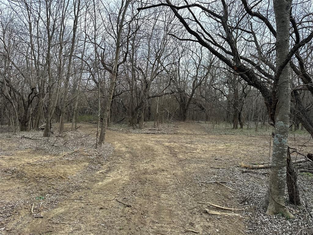 0 Sandswitch Road Ennis, TX 75119 - Photo 6 of 31 a backyard of a house with lots of green space