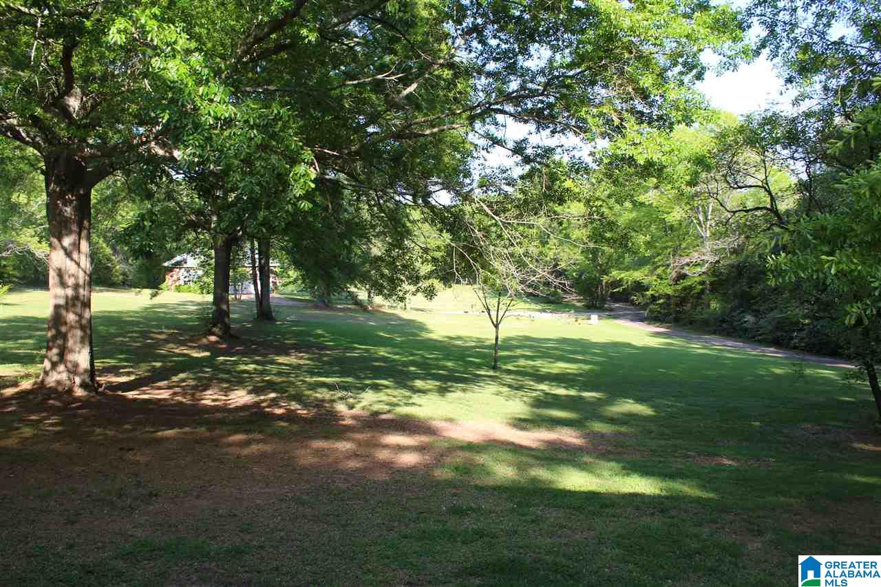 3384 Lock 4 Road Lincoln, AL 35096 - Photo 43 of 50