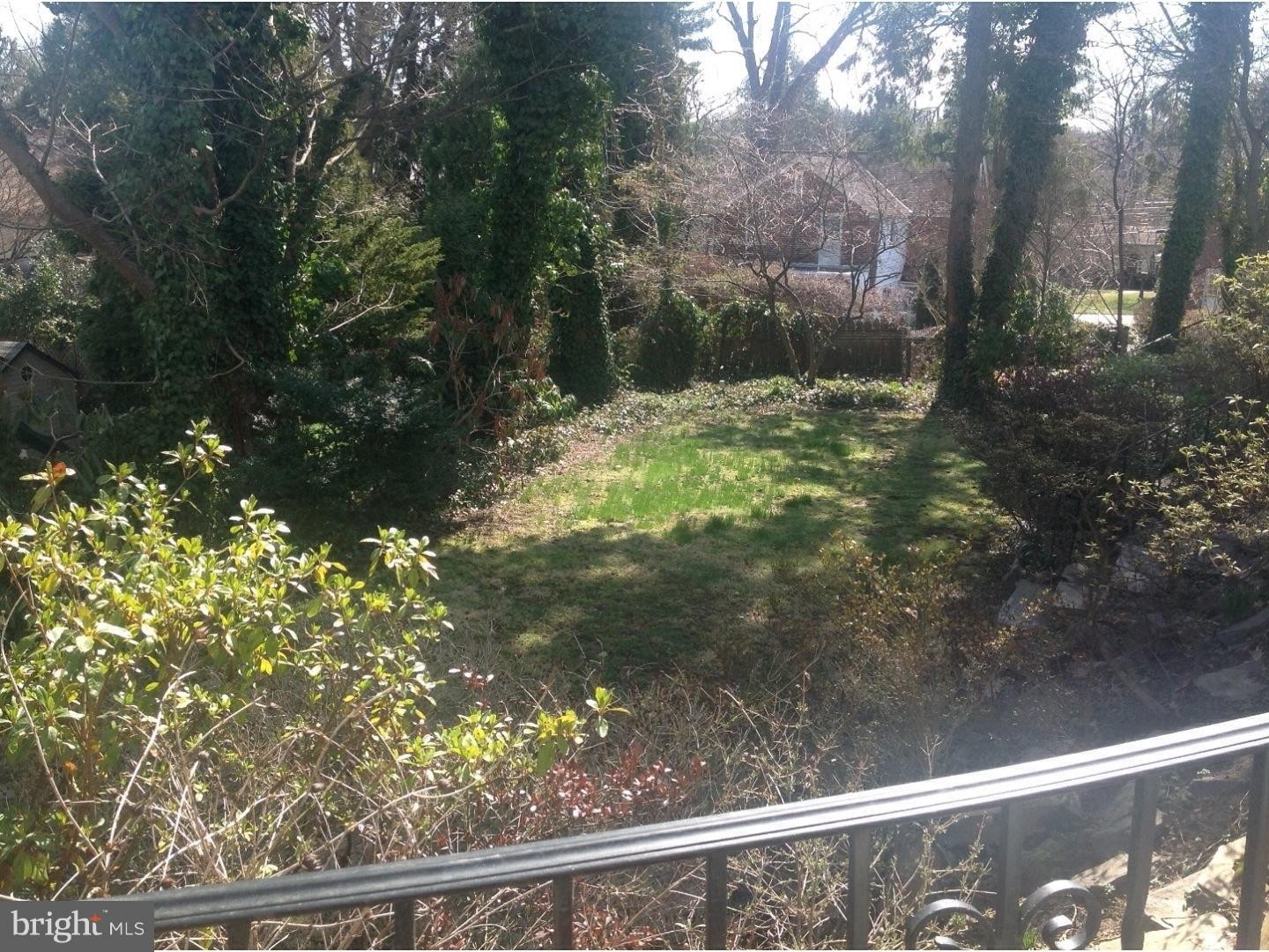 80 East Princeton Road Bala Cynwyd, PA 19004 - Photo 22 of 24 Side Yard