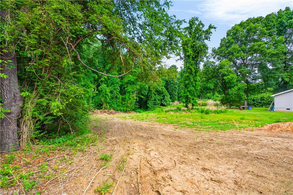 391 Needmore Road Carthage, NC 28327 - Photo 19 of 22