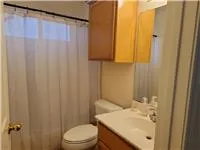 a bathroom with a sink a toilet and shower curtain