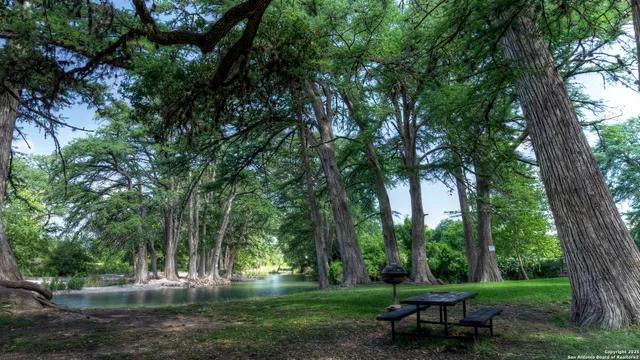 a view of a lake with trees