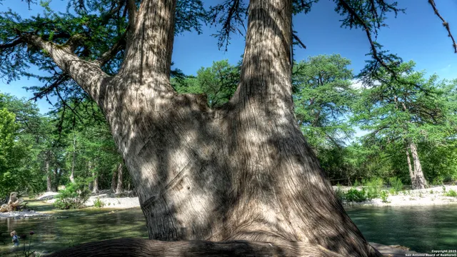 a view of a lake view