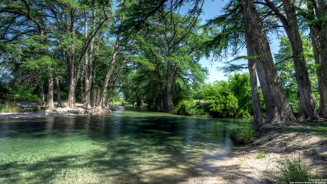 a view of water with a large trees