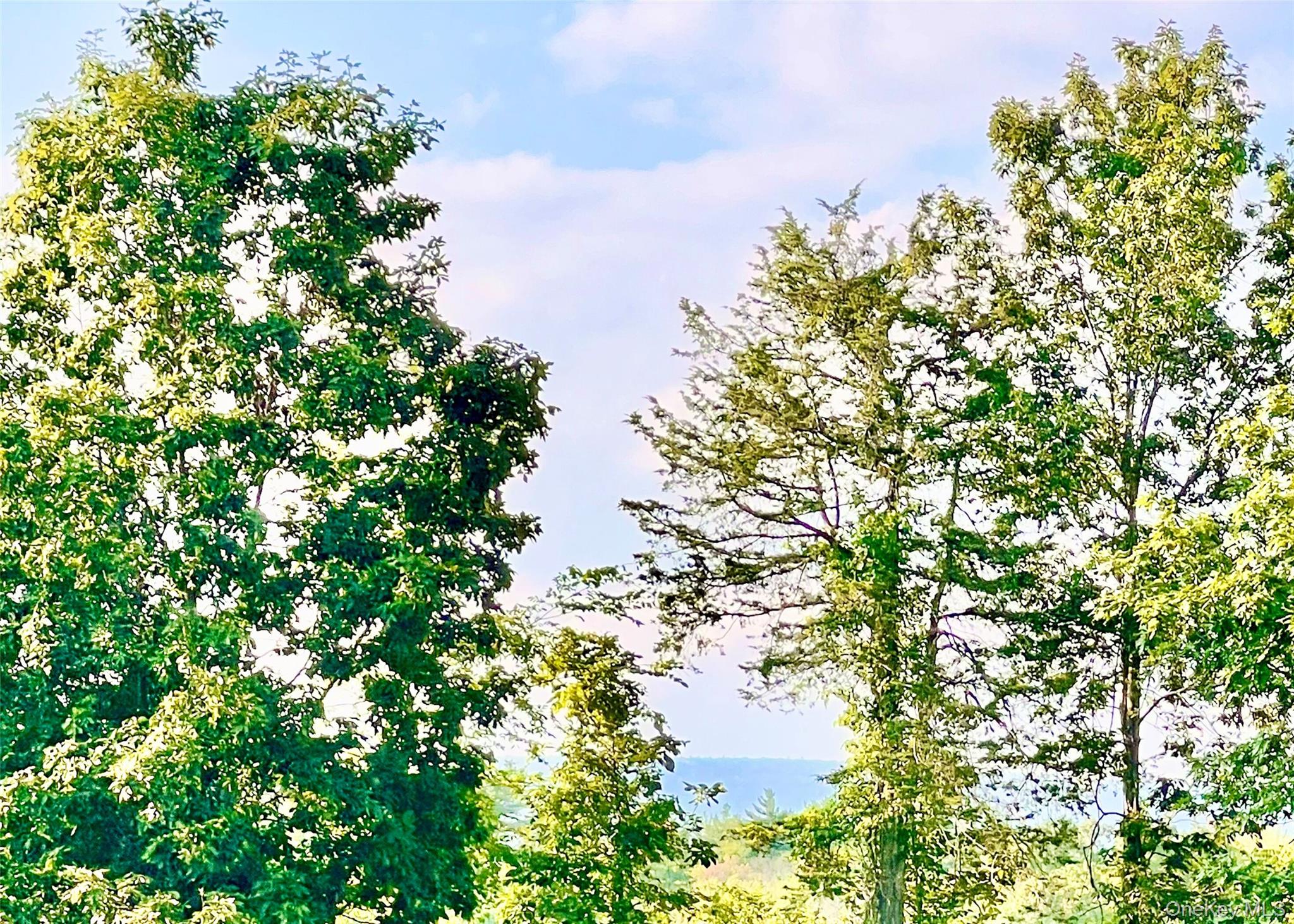 160 Pirog Road Pine Bush, NY 12566 - Photo 26 of 26 View of mountain