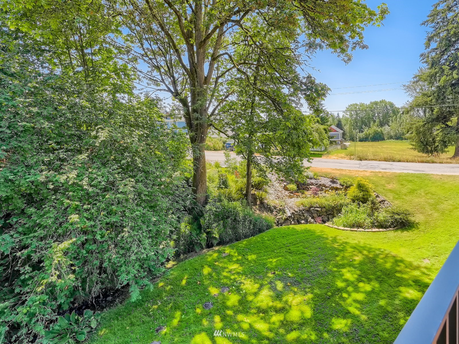 904 9th Street Snohomish, WA 98290 - Photo 30 of 40 a view of a trees with a yard