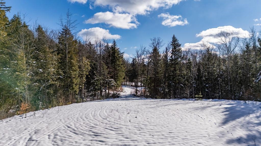 Lot 3 Kimpton Brook Road Wilmot, NH 03287 - Photo 4 of 23