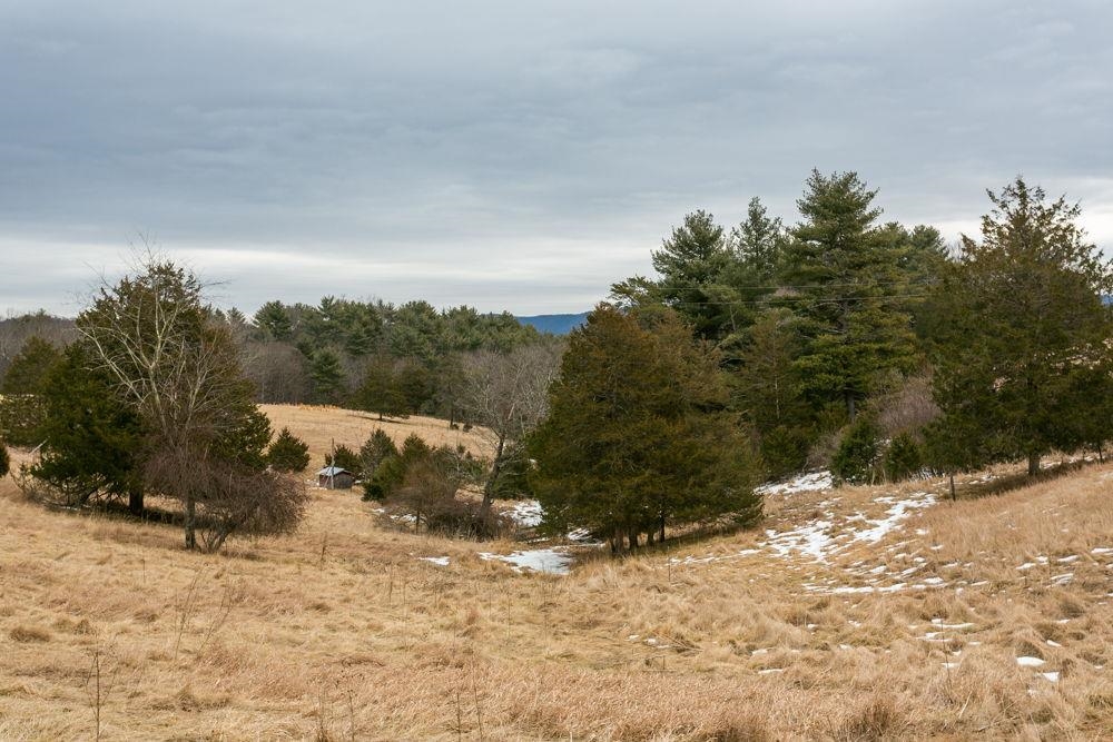 19962 Rainbow Ridge Road Bergton, VA 22811 - Photo 11 of 57 Lots 40 & 43