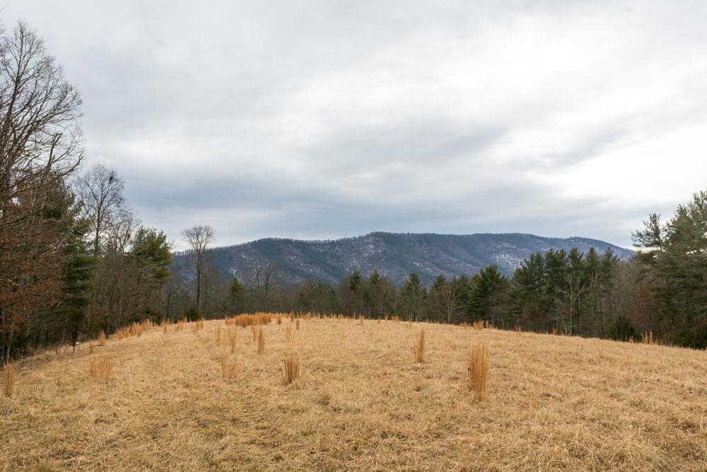 19962 Rainbow Ridge Road Bergton, VA 22811 - Photo 14 of 57 at the bottom of open land.