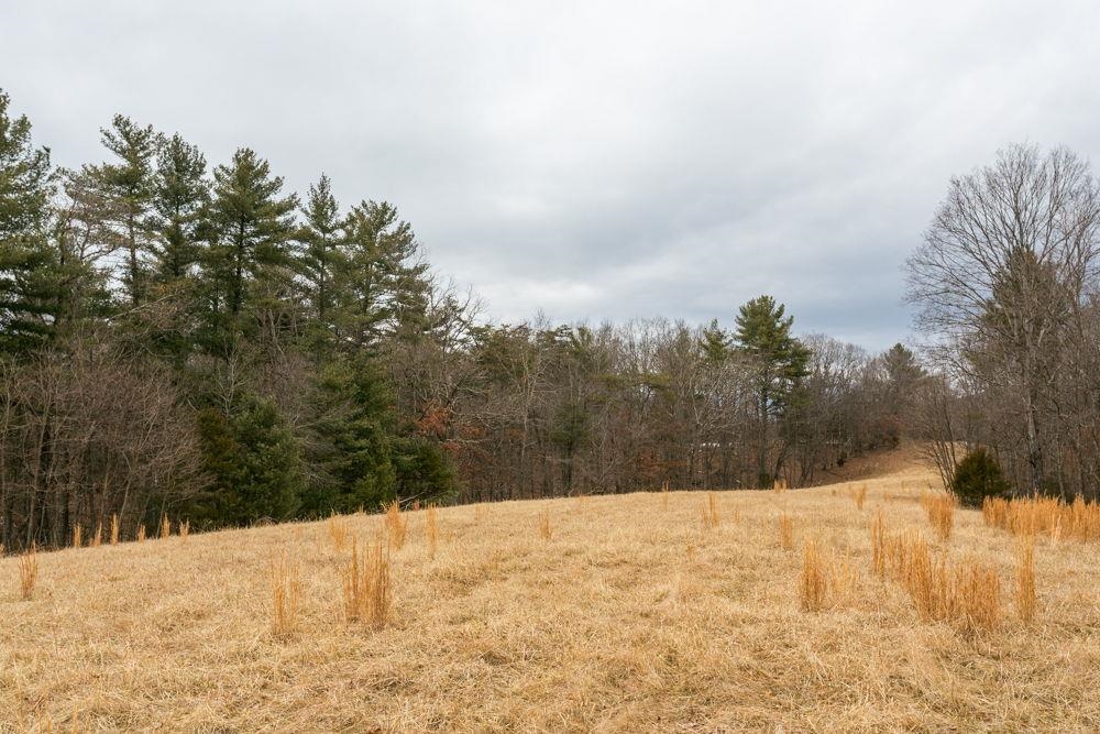 19962 Rainbow Ridge Road Bergton, VA 22811 - Photo 15 of 57 Lot 41