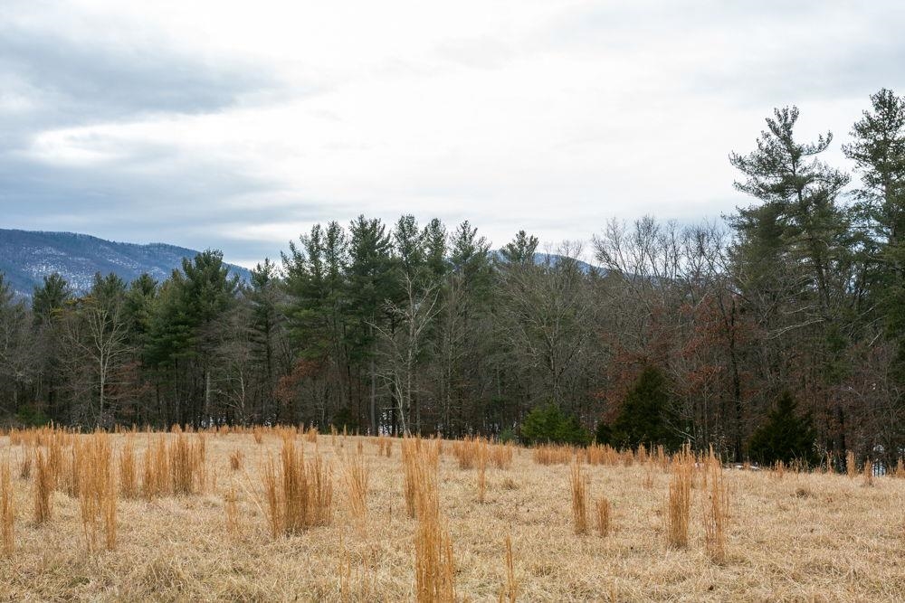 19962 Rainbow Ridge Road Bergton, VA 22811 - Photo 16 of 57 Lot 41