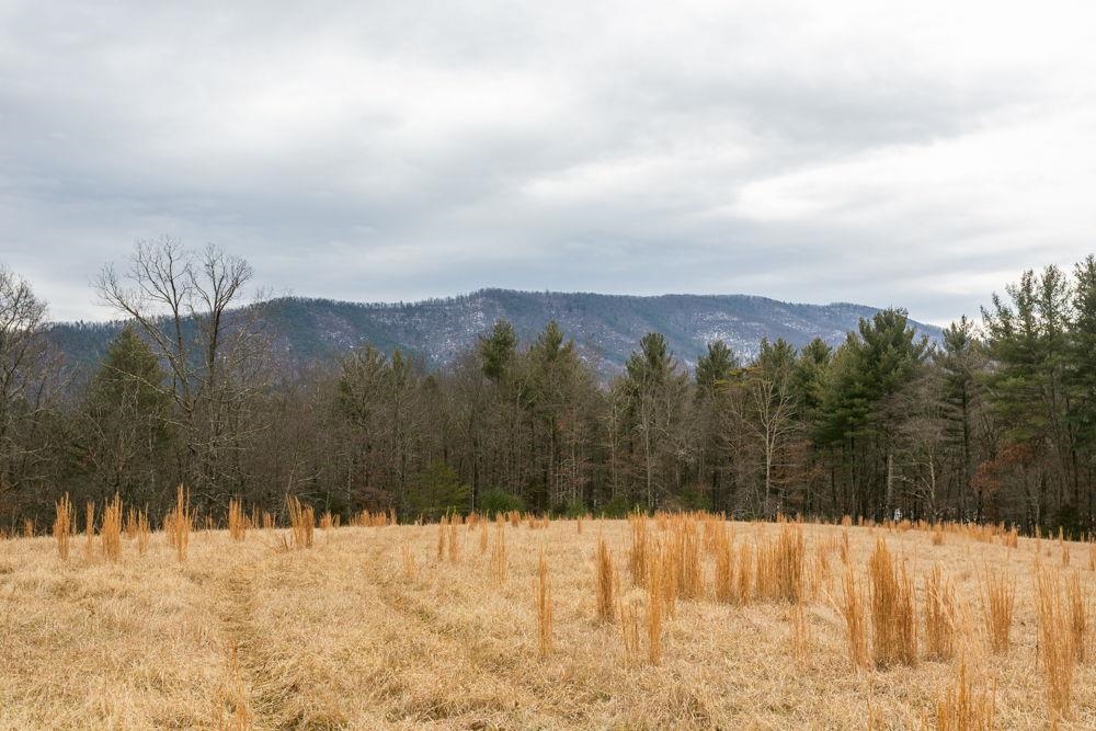19962 Rainbow Ridge Road Bergton, VA 22811 - Photo 17 of 57 Lot 41 with views.