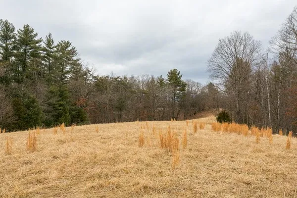 a living room with furniture fireplace and flat screen tv