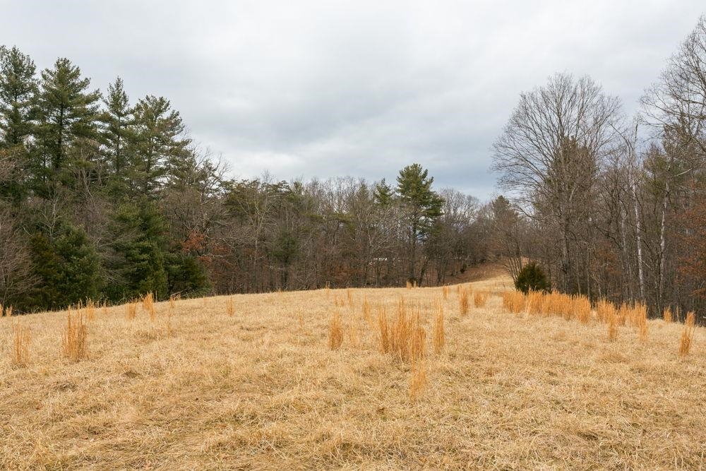 19962 Rainbow Ridge Road Bergton, VA 22811 - Photo 18 of 57 Lot 41