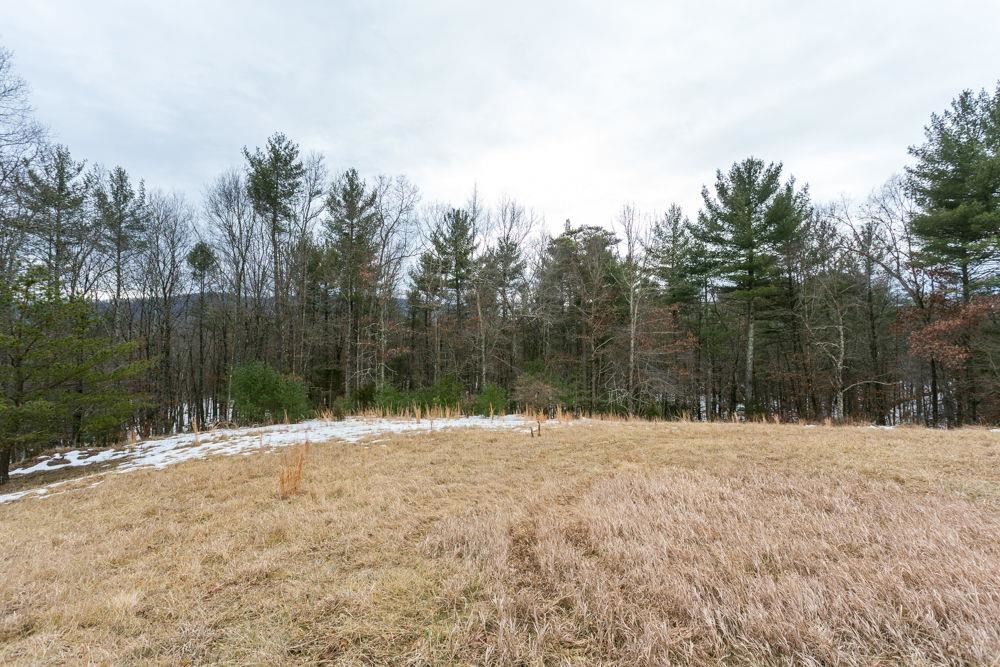 19962 Rainbow Ridge Road Bergton, VA 22811 - Photo 19 of 57 has tree line with views
