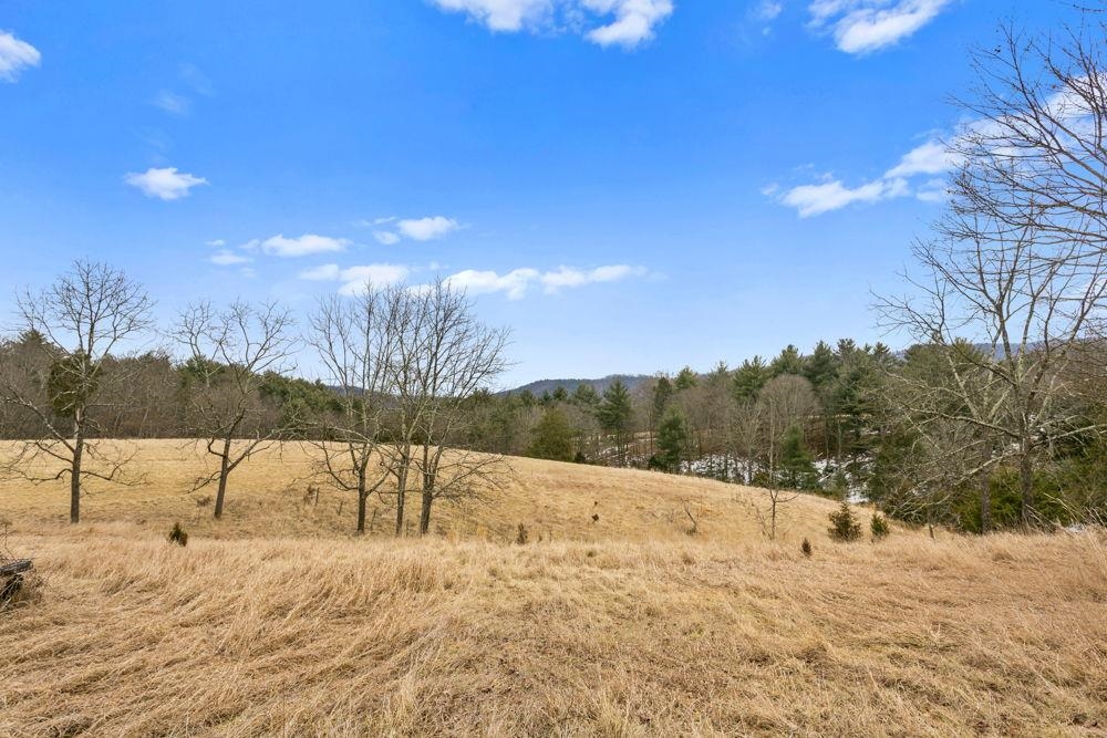 19962 Rainbow Ridge Road Bergton, VA 22811 - Photo 44 of 57 Looking west on Lot 43