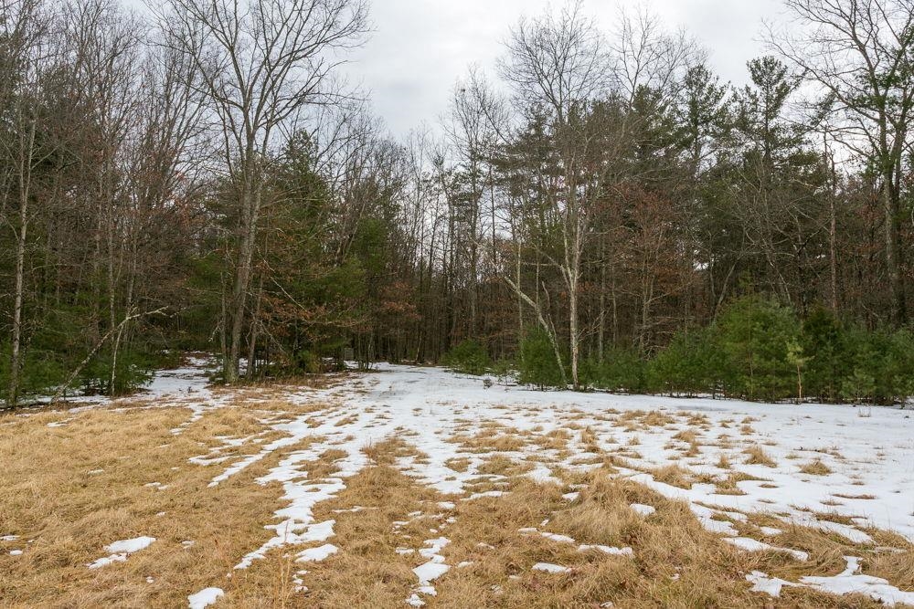 19962 Rainbow Ridge Road Bergton, VA 22811 - Photo 49 of 57 leading to wooded area and ROW to Lot 44