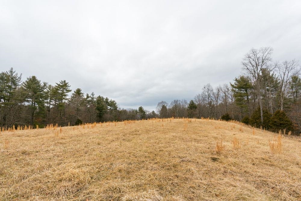 19962 Rainbow Ridge Road Bergton, VA 22811 - Photo 51 of 57 Lot 43