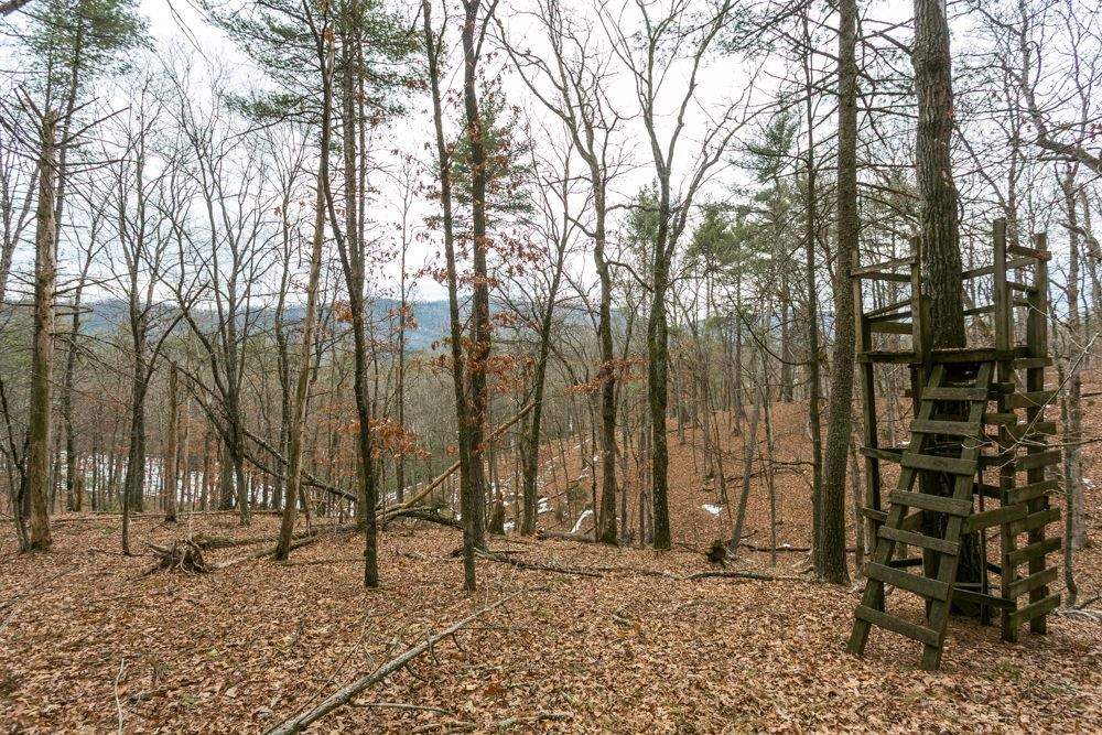 19962 Rainbow Ridge Road Bergton, VA 22811 - Photo 53 of 57 and hunting area.
