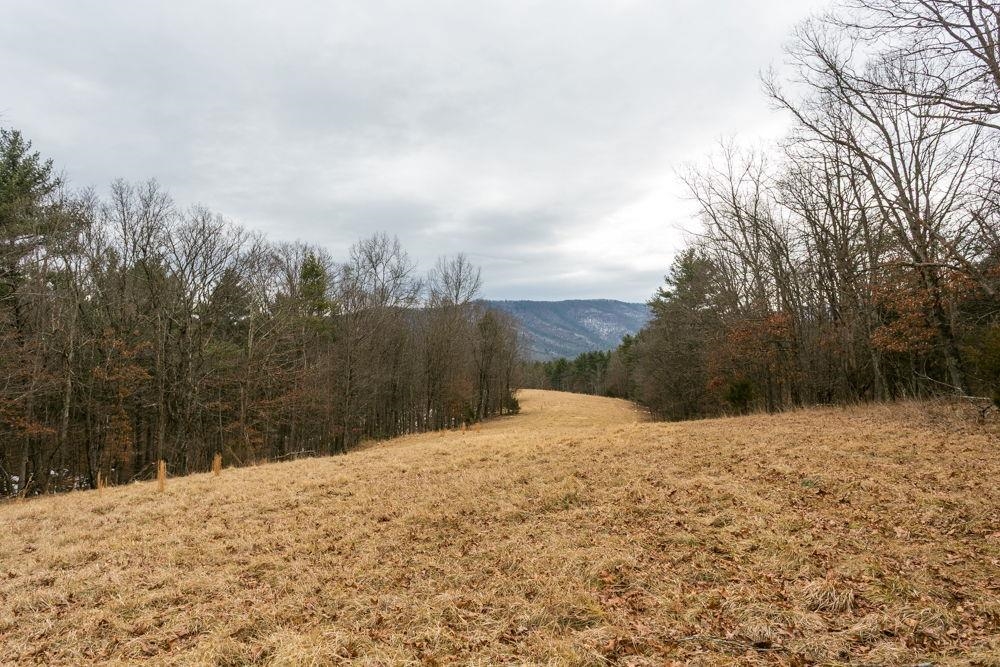 19962 Rainbow Ridge Road Bergton, VA 22811 - Photo 57 of 57 on Lot 41