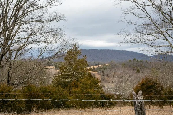 a wooden house with trees in front of it