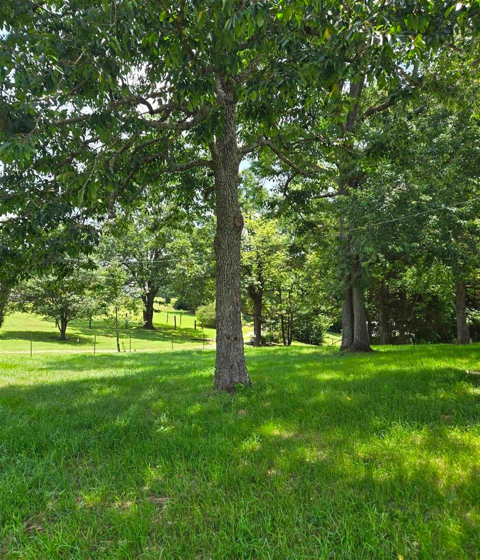 1682 Blue Level Providence Road Rockfield, KY 42274 - Photo 10 of 10