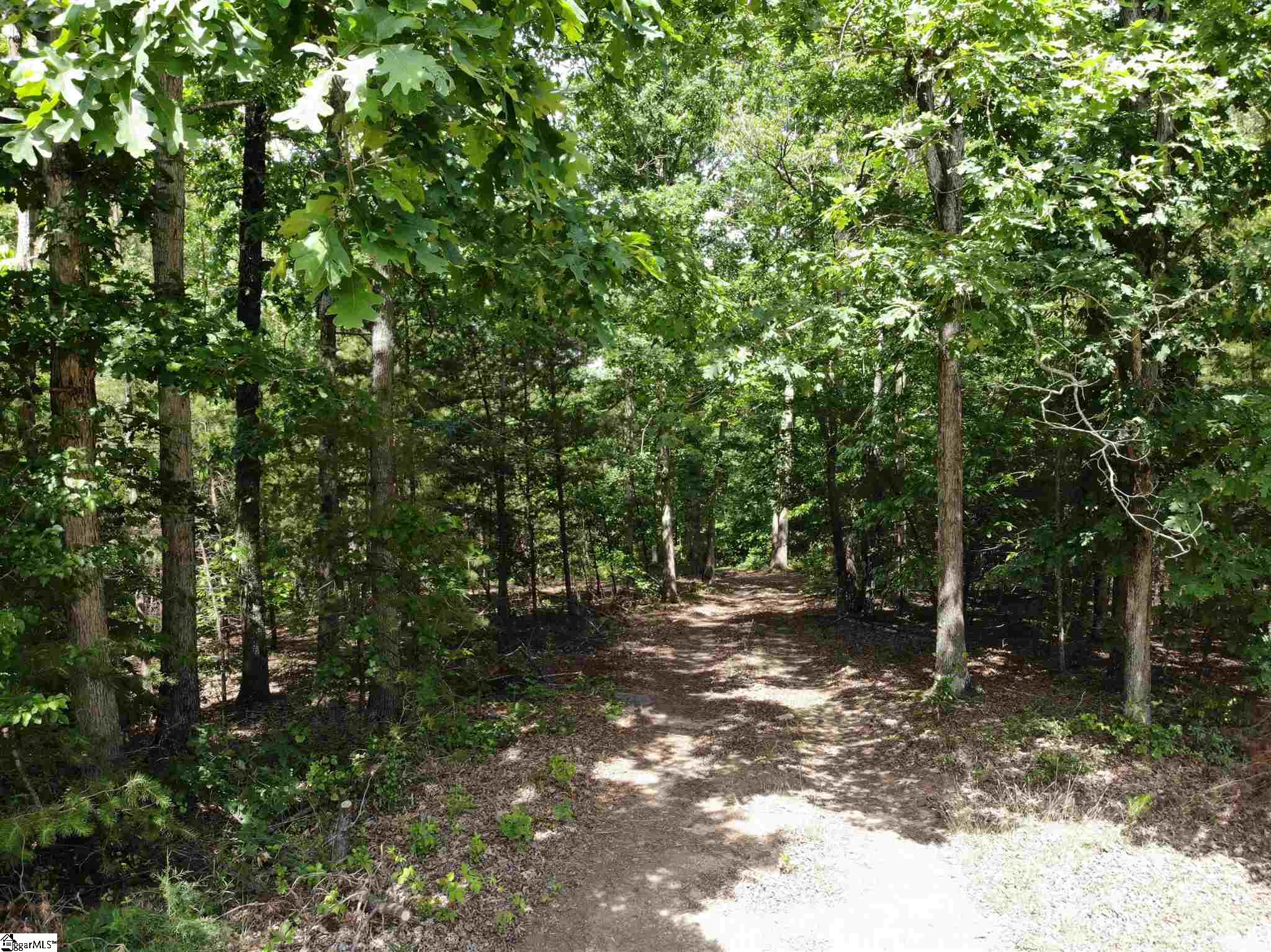 Jenkins Way Easley, SC 29640 - Photo 2 of 17