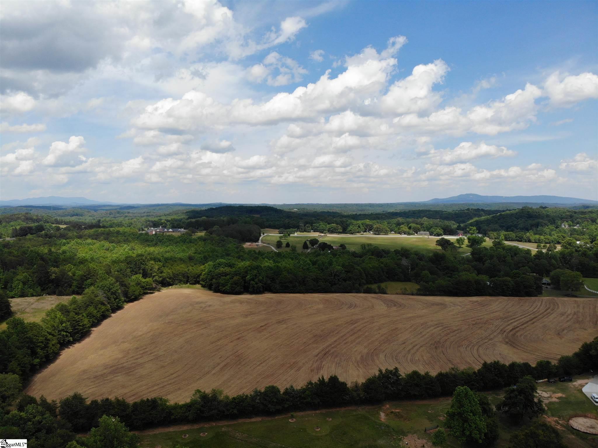 Jenkins Way Easley, SC 29640 - Photo 15 of 17