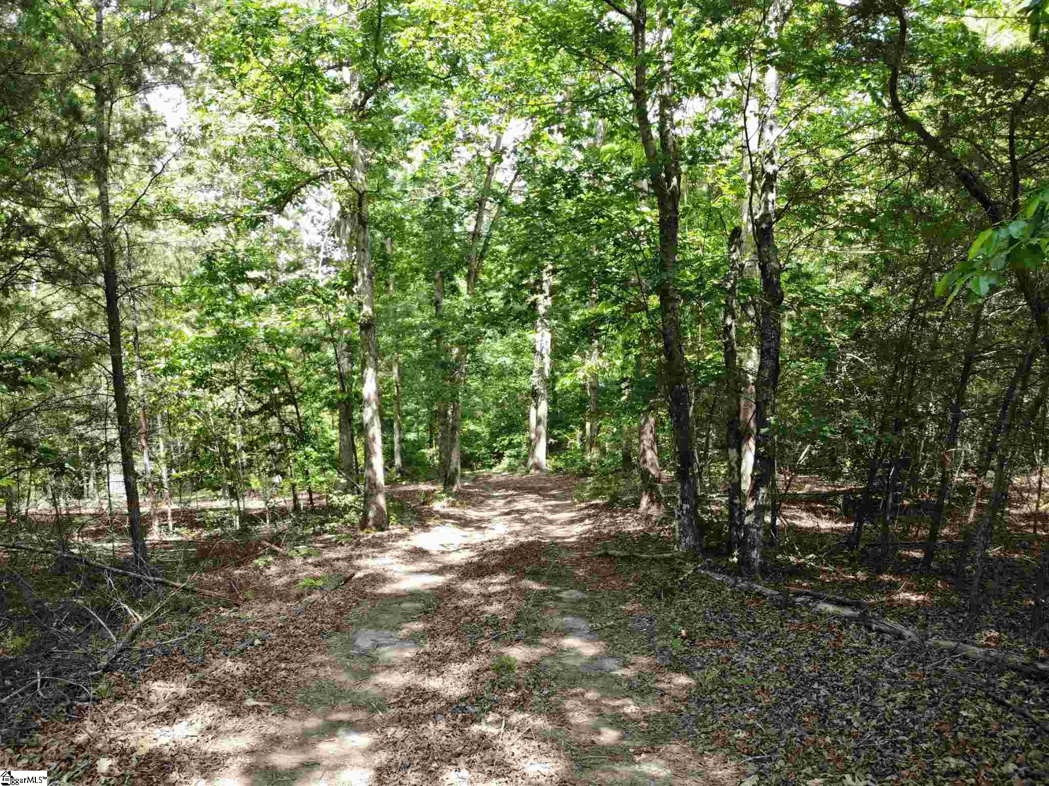 Jenkins Way Easley, SC 29640 - Photo 3 of 17