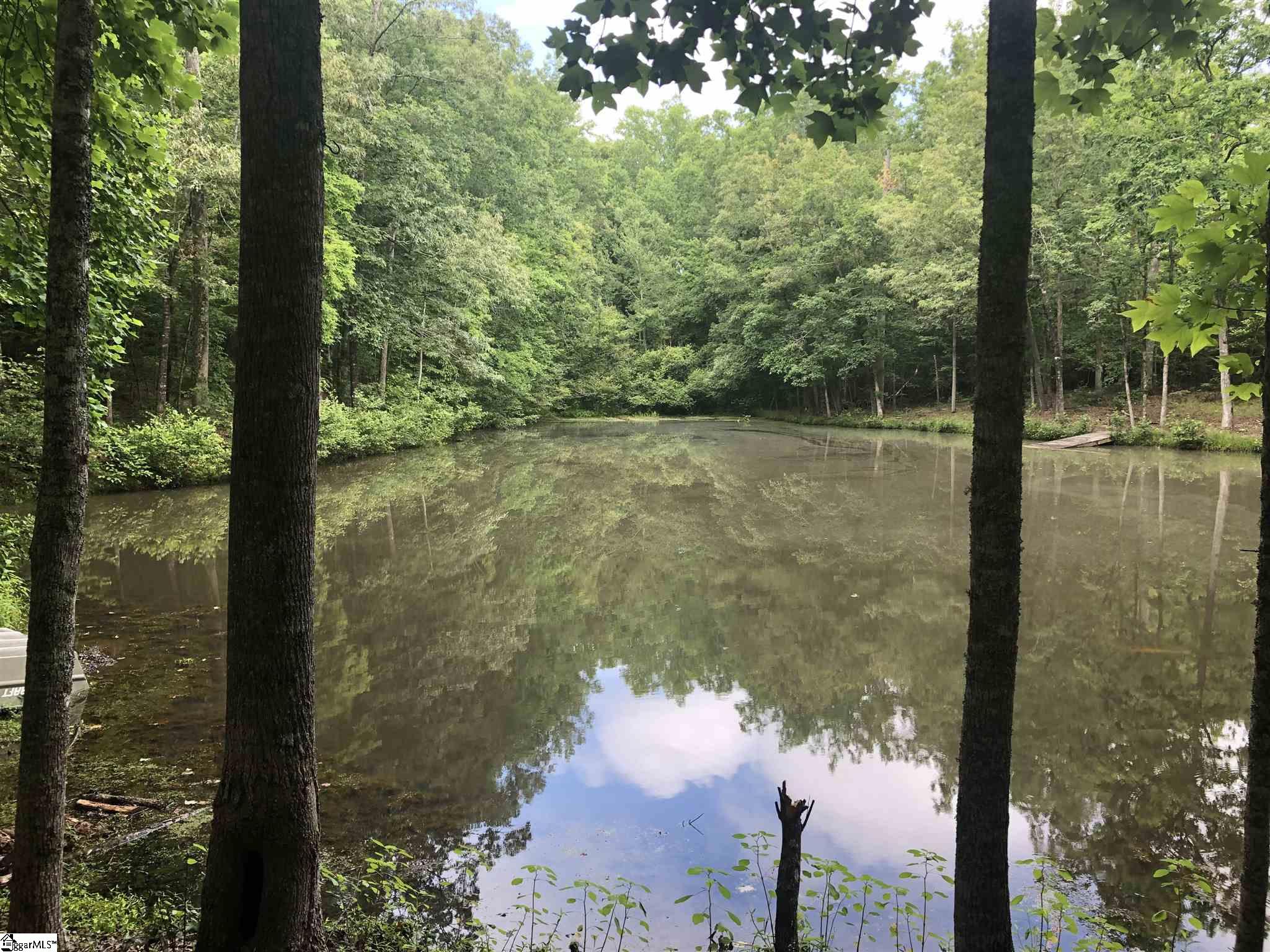 Jenkins Way Easley, SC 29640 - Photo 5 of 17
