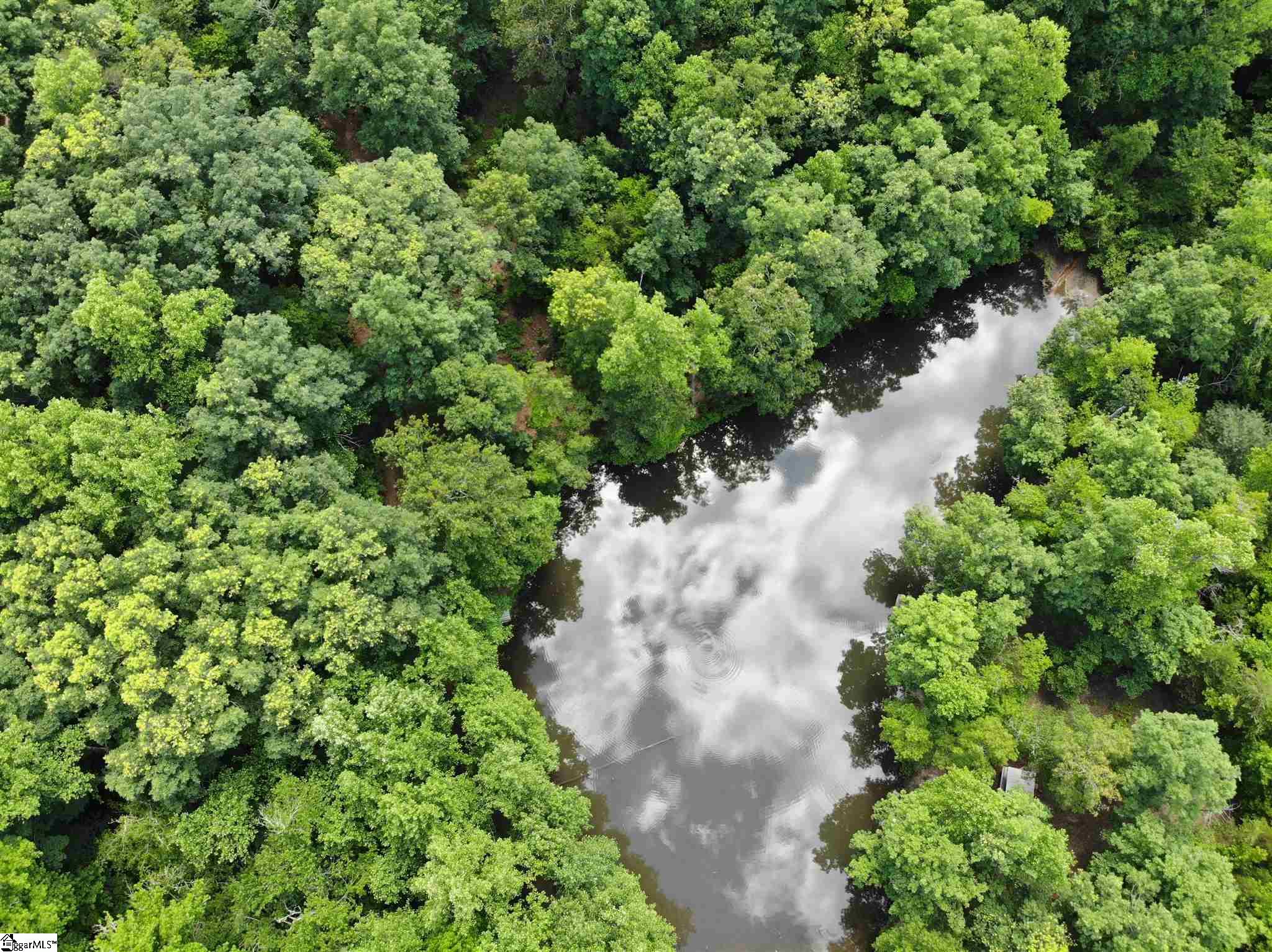 Jenkins Way Easley, SC 29640 - Photo 10 of 17